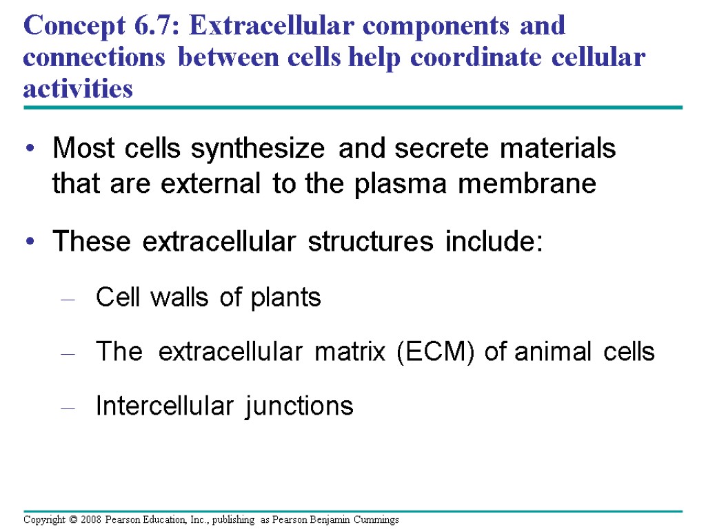 Concept 6.7: Extracellular components and connections between cells help coordinate cellular activities Most cells